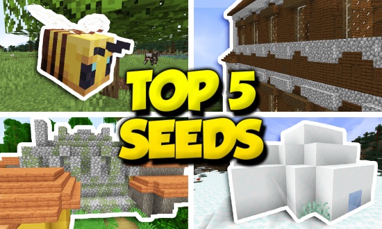 5 Best Seeds For Minecraft 1 15 2 Minecraft Seeds Net
